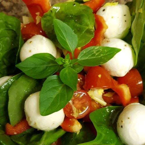 Bocconcini Salad