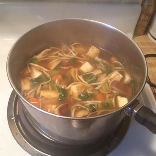 Vegan Udon Noodles Soup with Tofu and Vegetables