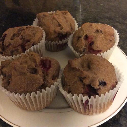 Teff Muffins