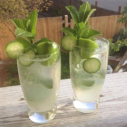 Mint-Cucumber Mojitos