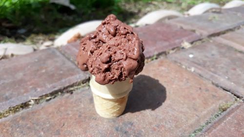 Dark Brownie Fudge Ice Cream