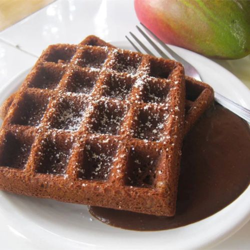 Gingerbread Waffles with Hot Chocolate Sauce