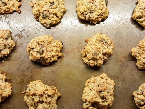 Oatmeal Dried Fruit Cookies