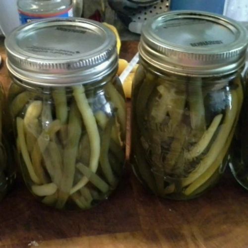 Pickled Green Beans