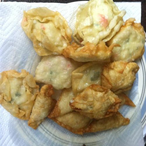 Won Tons